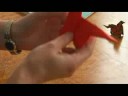 Kolay Origami Katlama Talimatları : Origami Kıvrımlar: Bitirme Köpek Resim 4