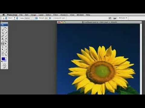 Photoshop İpuçları Ve Teknikleri: Adobe Photoshop Bulanıklaştırma Aracı İpuçları Resim 1