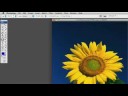 Photoshop İpuçları Ve Teknikleri: Adobe Photoshop Leke Aracı İpuçları