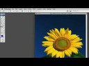 Photoshop İpuçları Ve Teknikleri: Adobe Photoshop Bulanıklaştırma Aracı İpuçları Resim 3