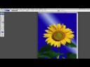 Photoshop İpuçları Ve Teknikleri: Adobe Photoshop Degrade Aracı İpuçları Resim 3