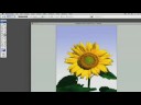 Photoshop İpuçları Ve Teknikleri: Adobe Photoshop Gradyan Araçları İpuçları Resim 3