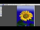 Photoshop İpuçları Ve Teknikleri: Adobe Photoshop Degrade Aracı İpuçları Resim 4