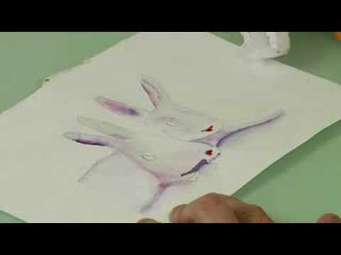 Suluboya Resim: Beyaz Tavşan : Suluboya Resim Tavşan Burnu