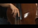 Akustik Bas Teknikleri : Akustik Bas Ayarlama İpuçları