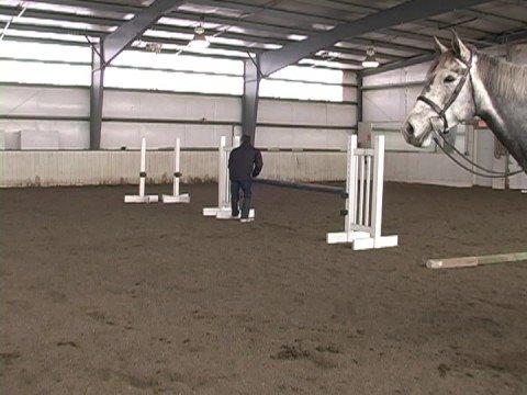 Bir At Üzerinde Jimnastik Bir Satır atlama : Jimnastik hattına 7 Çitin Ekle 