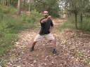 Tai Chi Dövüş Sanatı Uygulamaları : Tai Chi: Yüksek Pat At