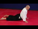 Aikido Egzersizleri Ve Uzanıyor: Aikido Cobra Streç Resim 3
