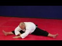 Aikido Egzersizleri Ve Uzanıyor: Aikido Split Uzanıyor Resim 4