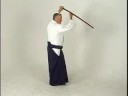 Aikido Kılıç Dövüşü: Ken-Gi İki : Kesa Kız: Aikido Ken-Gi İki Resim 3