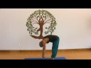 Nazik Yoga Poses: Yoga İleri Bend Resim 4