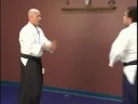 Yokomenuchi Yapılan: Ara Aikido Teknikleri : Yokomenuchi Gelen Zenponage  Resim 4