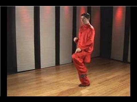 Atlama Tekme Kung Fu : Kung Fu Tekme Atlama: Atlama-Topuk-Tekme Çift  Resim 1