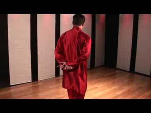 Xingyi Kung Fu: Kung Fu: Xingyi Horoz Adım Ve Chase Adım Combo
