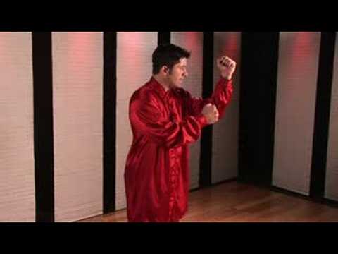 Xingyi Kung Fu: Kung Fu: Xingyi Topu Punch Resim 1