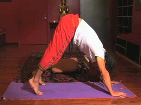 Yoga: İlahi Ve Hareket Meditasyon: Yoga Meditasyon İle Köpek Poz Aşağı Resim 1