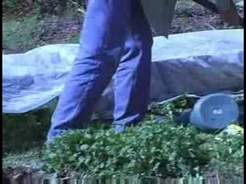 Organik Maydanoz Bahçe: Organik Maydanoz Bahçecilik Aletleri