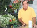 Bahçecilik Aletleri Ve Aksesuarları: Fosfor İle Bahçe