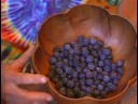 Blueberry Bush: Bahçe Yaban Mersini Saklamak