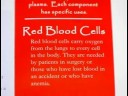 Kan Bağışı Kuralları : İnsan Kan Bağışı Bileşenleri 