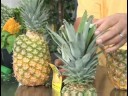 Bahçe Bitki Bakımı : Ananas Bitki Bakımı Resim 3