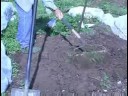 Organik Marul Bahçe: Organik Marul Bahçe Yatak Hazırlama Resim 3