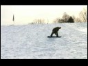 Bir Snowboard Üzerinde Durdurmak İçin Nasıl Ayak Tarafı Snowboard Duruş: Bacaklar & Vücut Resim 3