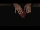 Bir Origami Vinç Yapmak İçin Nasıl Origami Talimatları : 