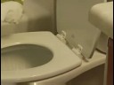 Tuvalet Temizlik: Tuvalet Temizlik: İç Kapak Resim 4