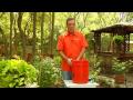 Kompost Yapmak İçin Nasıl Bahçe & Çim Bakımı İpuçları :  Resim 4