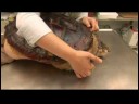 Sürüngenler, Amfibiler, Omurgasızlar Ve Küçük Evcil Hayvanlar : Kaplumbağa, Ortak Yakalamaya Gerçekler  Resim 4
