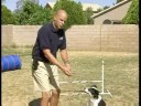 Çeviklik Köpek Eğitim: Bitti Komut: Köpek Terbiye Komutasını Çeviklik: Güvenli İniş