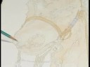 Bir Slayt Projektörü İle Suluboya Resim Çizimi : Suluboya Eskizleri İçin Ayrıntı Ekleme  Resim 3