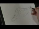Nasıl Çizmek İçin :'s Kanat\Bir Kuş Çizmek İçin Nasıl  Resim 3