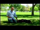 Üzerinde Rulo İçin Köpek Eğitmek İçin Nasıl Köpek Eğitim İpuçları :  Resim 4