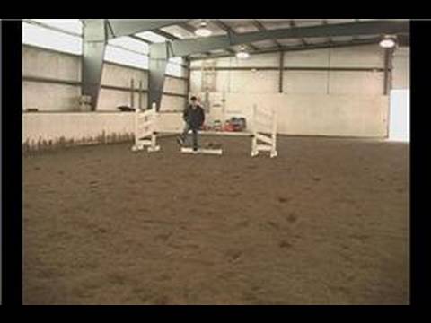 Gelişmiş Binicilik Atlama Egzersizleri : At Atlar Bir Çizgi Yürüyüş 