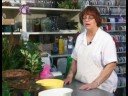 Bitki Hediye Sepetleri : Bitki Hediye Sepetleri İçin Malzeme 
