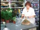 Bitki Hediye Sepetleri Hediye Sepetleri İçin Prearranging Bitkiler 