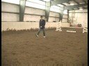 Gelişmiş Binicilik Atlama Egzersizleri : At Atlar Bir Çizgi Yürüyüş  Resim 3