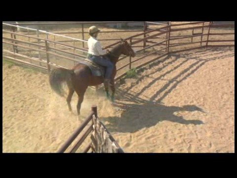 Çalışma Sığır & Team Penning : Deliğe Atın Eğitim: Çiftlik Sıralama