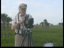 Kuş Dürbün Ve Alan Kılavuzları Gözlemciliği : Kuş Gözlemciliği İçin Bir Lekelenme Kapsamı Tespit  Resim 3