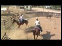 Çalışma Sığır & Team Penning : Takım Ranch Gösteri Sıralama  Resim 4