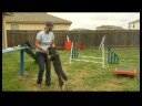 Köpek Eğitimi: Paw Numara : Köpek Eğitimi: Dans Yüksek 5  Resim 4