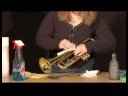 Trompet Bakım : Gümüş Parlatma Trompet Resim 4