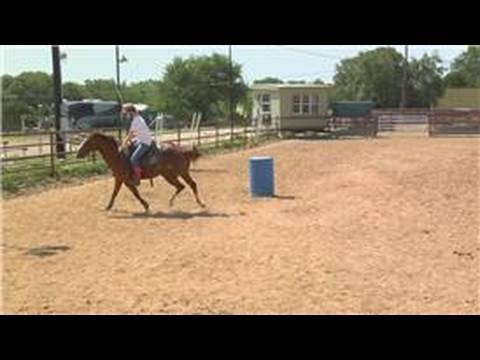 Acemi Daha Az Eğitimli Bir At İle Binicilik : At Lope Eğitim 