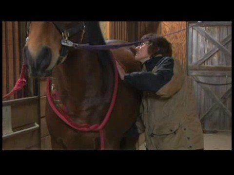 At Uzanır : Karın Germe At İpuçları Germe 