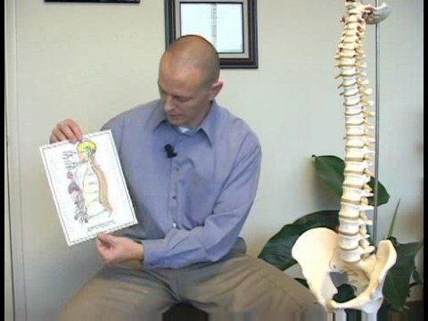 Chiropractic Ayarlama Faydaları: Omurga Bel Ağrısı Nasıl Etkiler? Resim 1