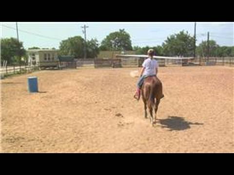 Daha Az Eğitimli Bir At İle Acemi Binicilik : At Temel Eğitim