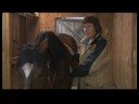 Atçılık Masaj Hazırlanışı : At Masaj İçin Anlayış Atları 