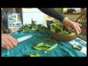 Hoop Evlerde Büyüyen Yeşiller : Salata Çamaşır Bebek Yeşillik 